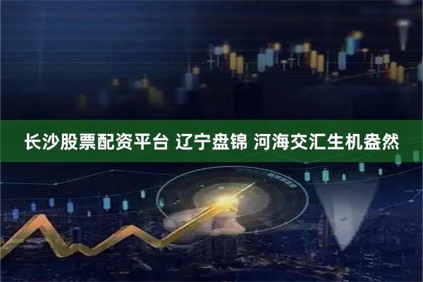 长沙股票配资平台 辽宁盘锦 河海交汇生机盎然
